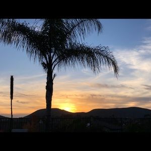 Meet your Posher, Ben